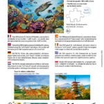 Ref 7303 PUZZLE 500P XL FONDS MARINS Dos BD