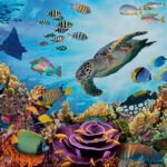 Ref 7303 PUZZLE 500P XL FONDS MARINS Facing Plateau BD