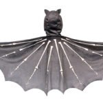 cape-chauve-souris-Souza